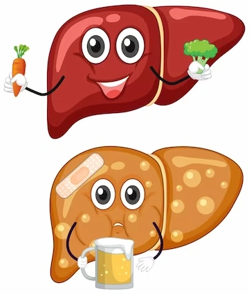 Alcohol Related Liver Disease | liver treatment hospital in Chennai | CTS Hospitals