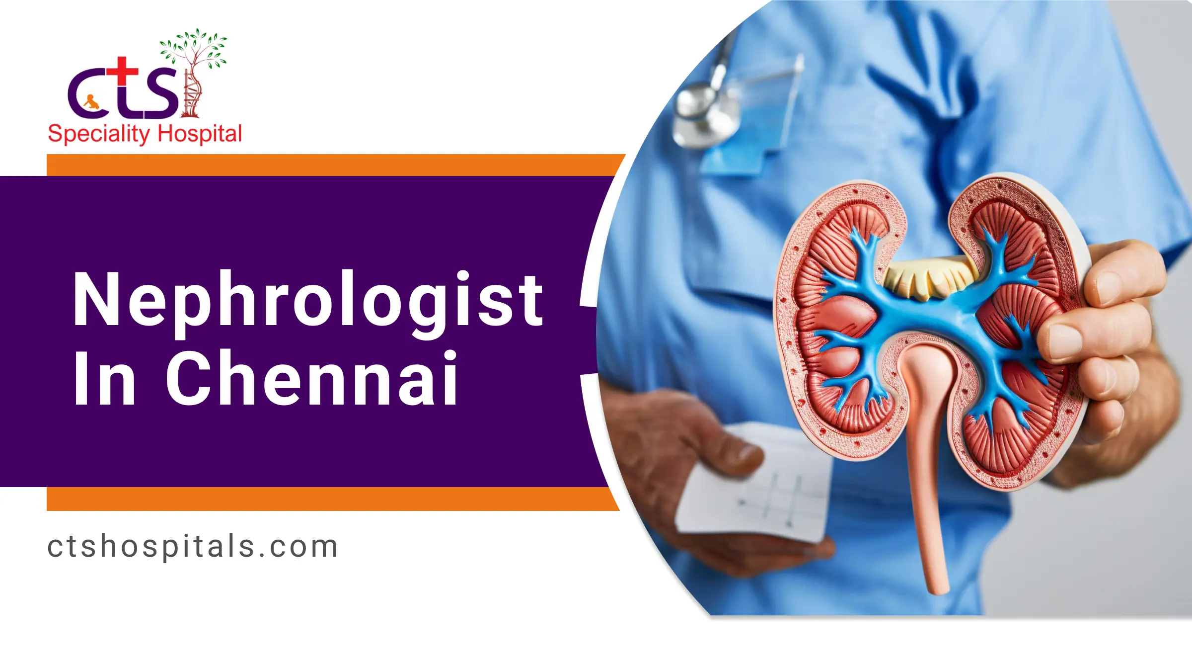 Nephrologist in Chennai