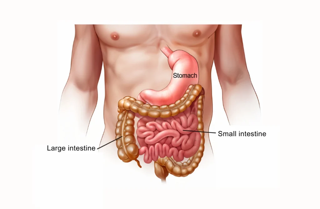Best Gastroenterologist In Chennai