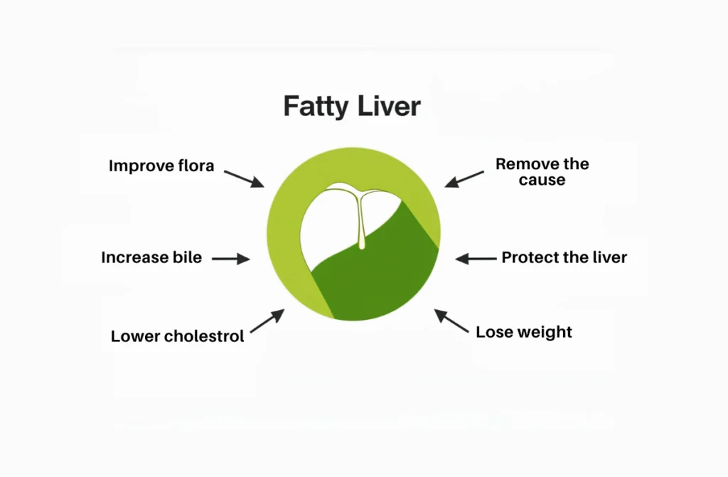 Natural Remedies for Fatty Liver