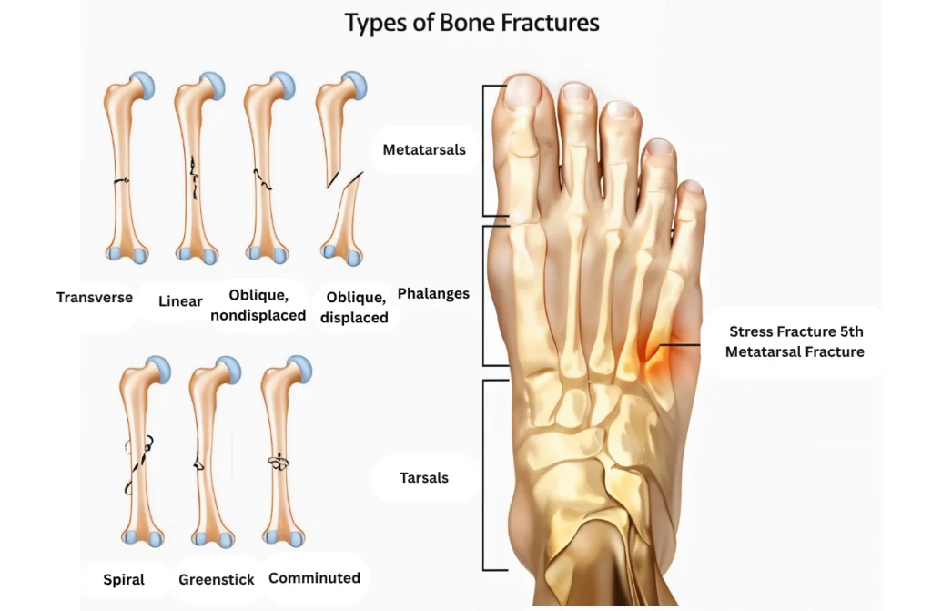 Best Orthopedic Doctor in Chennai