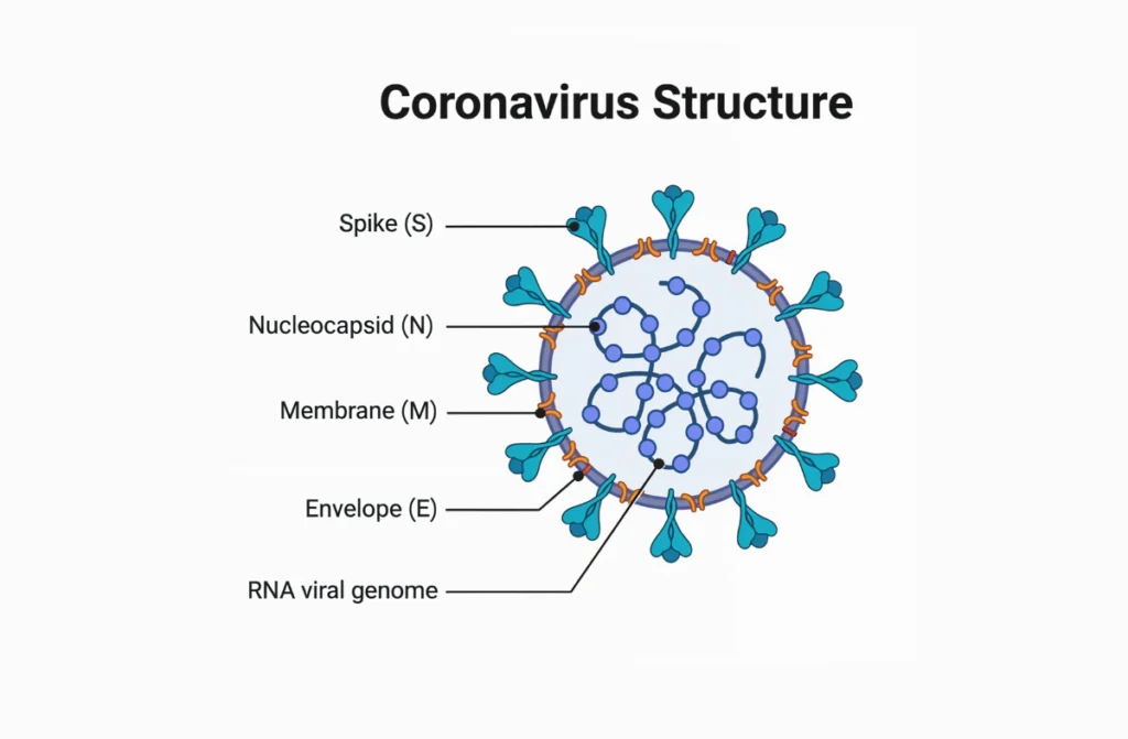 Coronavirus Treatment Hospitals in Chennai